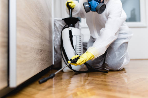 Reliable Mccamey, TX Pest Control Solutions
