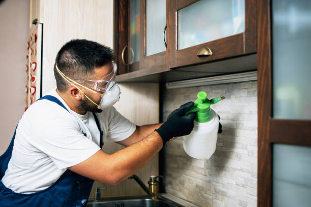 Best Bed Bug Extermination  in Mccamey, TX