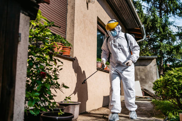 Best Pest Control Near Me  in Mccamey, TX