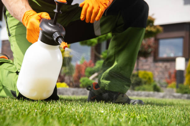 Best Pest Removal Services  in Mccamey, TX