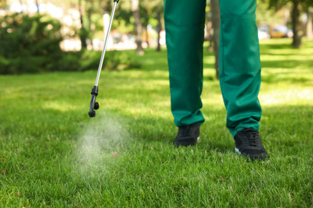 Best Wildlife Control Services  in Mccamey, TX