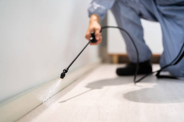 Best Best Pest Control Companies  in Mccamey, TX