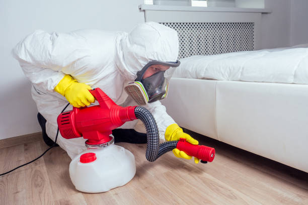 Best Wasp Removal Services  in Mccamey, TX