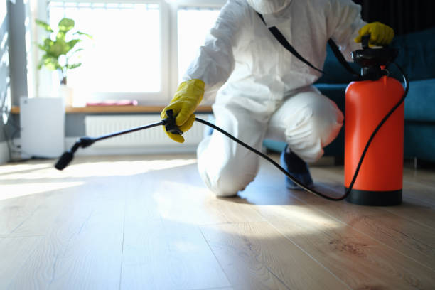 Best Flea Control Services  in Mccamey, TX