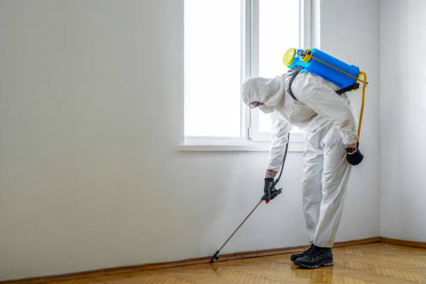Best Pest Inspection Near Me  in Mccamey, TX
