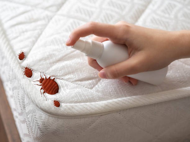 Best Best Pest Control Companies  in Mccamey, TX