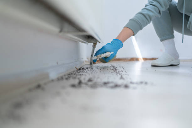 Best Best Pest Control Near Me  in Mccamey, TX