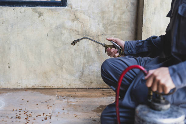 Best Pest Prevention Services  in Mccamey, TX